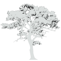 White tree 200px.png